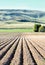 Furrows in a newly planted potato field.