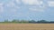 Furrows in a plowed field along trees below a blue cloudy sky in spring