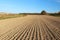 The furrows of the plowed field at the edge of the forest. Free soil for planting crops. Agricultural business. Technology v