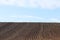 The furrows of the plowed field at the edge of the forest. Free soil for planting crops. Agricultural business. Technology vÑ–
