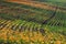 Furrows row pattern with orange maple leaf and green grass on dark autumn plowed field. Autumn meandering plowed field, taken with