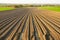 Furrows row pattern in a plowed field prepared for planting.