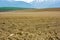 Furrows rows in a plowed field prepared for planting potatoes crops in spring.