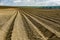 Furrows rows in a plowed field prepared for planting potatoes crops in spring.