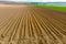 Furrows rows in a plowed field prepared for planting potatoes crops in spring.