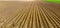 Furrows rows in a plowed field prepared for planting potatoes crops in spring.