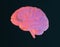 Furry brain illustration on dark background