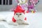 Furry British white Cat Chinchilla cute cat.Halloween cat with little devil hat