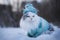 Furry cat walks through snowdrifts in winter