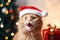 Furry festive fun: red cat celebrating Christmas