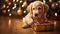 Furry Festivities: Curious Puppy Admiring Gift under Twinkling Christmas Tree\\\