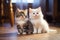 Furry Friends: Adorable Grey and White Kittens Playing on a Cozy Floor