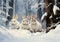 Furry Friends in a Winter Wonderland: Three White Rabbits Enjoyi