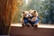 Furry friendship teddy bears share a warm embrace, admiring bamboo