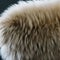 A furry and fuzzy texture with animal fur and fluffy pillows1, Generative AI