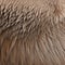 A furry and fuzzy texture with animal fur and fluffy pillows2, Generative AI