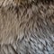 A furry and fuzzy texture with animal fur and fluffy pillows3, Generative AI