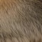 A furry and fuzzy texture with animal fur and fluffy pillows5, Generative AI