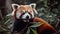 Furry red panda munching on a bamboo shoot created with Generative AI
