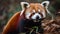 Furry red panda munching on a bamboo shoot created with Generative AI