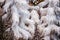 Furry Snow Christmas tree background in white and purple - Partially blurred - Unique and pretty