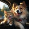 Furry travel buddies Dog and cat happily share car journey