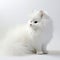 Furry White Kitten In Artgerm Style - Minimalistic Sophistication