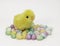 Furry Yellow Chick and Candy Eggs