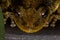 Fuscous-blotched Snouted Tree Frog