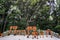 Fushimi inari shinto shrine