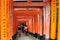 Fushimi Inari Shrine is an important Shinto shrine in southern Kyoto. It is famous for its thousands of vermilion torii gates