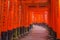 Fushimi Inari Shrine in Kyoto, Japan.