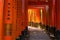 Fushimi Inari-taisha built in 1499, it\\\'s the icon of a path lined with thousands of torii gate with