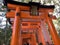 Fushimi Inari-Taisha - Red Shrine in Kyoto, Japan