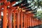 Fushimi inari taisha shrine in Kyoto, Japan