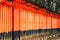 Fushimi inari taisha shrine in Kyoto, Japan