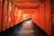 Fushimi Inari Taisha Shrine and the lantern in Kyoto, Japan