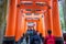 Fushimi Inari-taisha Shrine, over 5000 vibrant orange torii gates. it one of the most popular shrines in Japan. landmark and