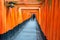 Fushimi Inari-taisha Shrine, over 5000 vibrant orange torii gates. it one of the most popular shrines in Japan. landmark and