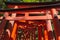 Fushimi Inari-taisha Shrine. Thousands countless vermilion Torii gates on a hill