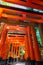 Fushimi Inari-taisha Shrine. Thousands countless vermilion Torii gates on a hill