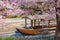 Fushimi Jikkokubune Boat in Kyoto with scenic full bloom cherry blossom in spring