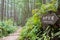 Between Fushiogami-oji and Kumano Hongu Taisha on Kumano Kodo Nakahechi Route in Tanabe,