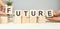 Future word letters on wooden cubes with hundred euro bills around. Financial forecast business