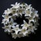 Futurism Stone: Lily Wreath In Annie Leibovitz Style