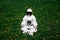 Futuristic astronaut in a helmet sits on a green lawn among flowers. Greetings to the camera