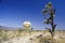 Futuristic dome house in the desert