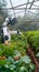 Futuristic farming Agricultural robotics streamline tasks, enhancing efficiency in vegetable cultivation