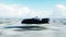 Futuristic flying car with 3d model woman fast driving in desert. Concept of future. Realistic 4k animation.