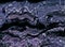 futuristic glitch color digital noise purple pixel